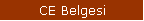 CE Belgesi